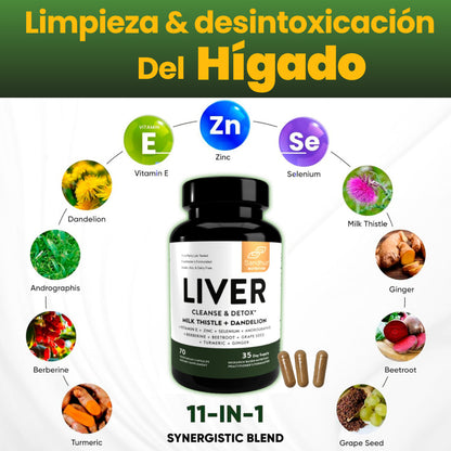 LIVER DETOX - PRIORIZA TU BIENESTAR