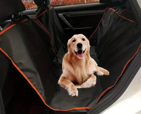 GUARDIAN SHIELD - PROTECTOR DE CARRO PARA BAUL
