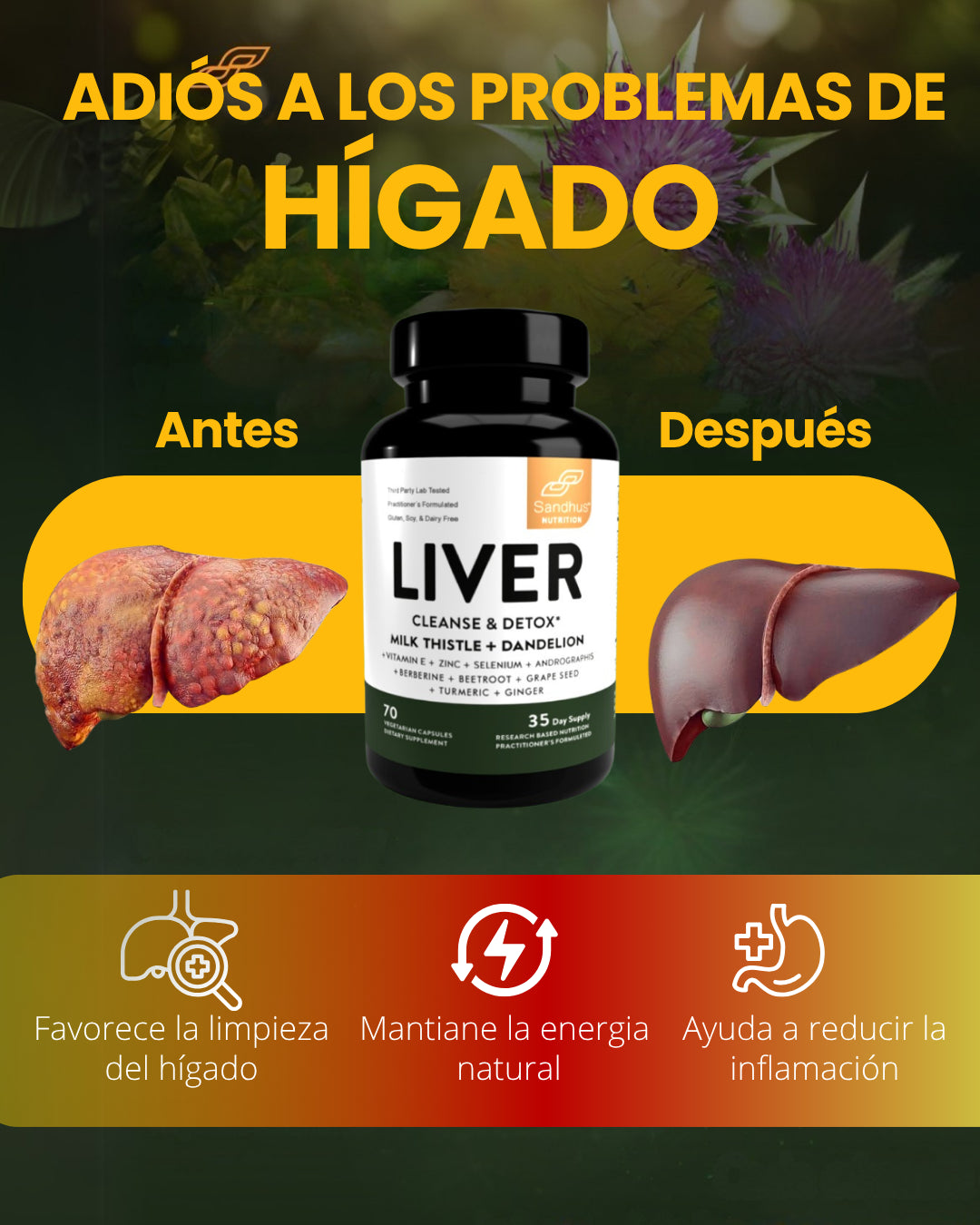 LIVER DETOX - PRIORIZA TU BIENESTAR